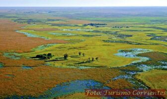 El Parque Provincial Iberá suma 40.000 hectáreas gracias a una donación de Rewilding Argentina