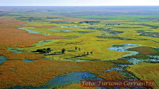 El Parque Provincial Iberá suma 40.000 hectáreas gracias a una donación de Rewilding Argentina