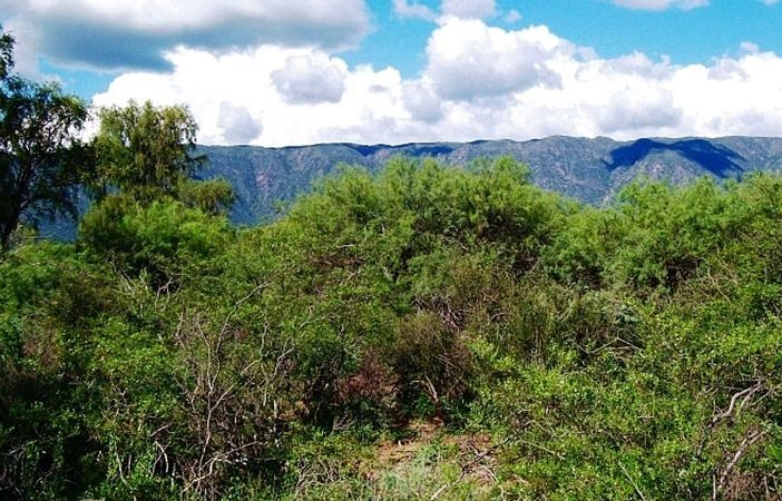 Crearon el Parque Nacional Traslasierra, en Córdoba