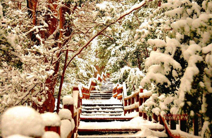 El turismo de invierno en los parques nacionales argentinos