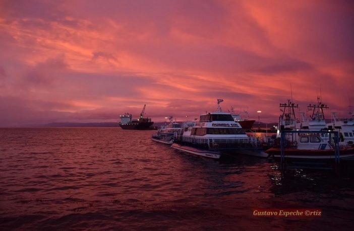 Imperdible del invierno en Ushuaia: Ver amanecer a las 9 desde el Canal de Beagle
