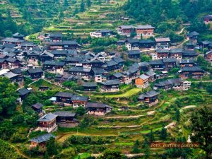 Guizhou