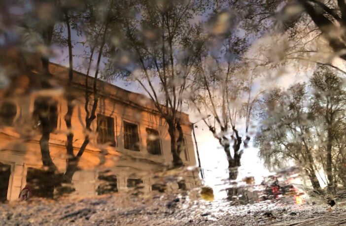 “Estoy viva y aquí estoy”, la muestra de Rosa Bodni que expone en fotos reflejos de su alma en días de pandemia