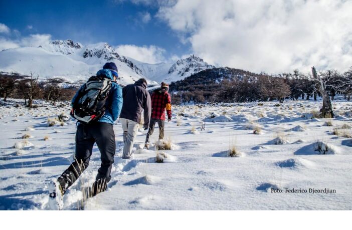 La Ruta 41, una travesía única para disfrutar todo el año del noroeste santacruceño (Crónicas de Rewilding)
