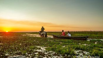 Esteros_del_ibera_corrientes_rewilding_turismo_13