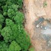 Deforestation aerial photo. Rainforest jungle in Borneo, Malaysia, destroyed to make way for oil palm plantations.