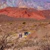 salta_turismo_cafayate